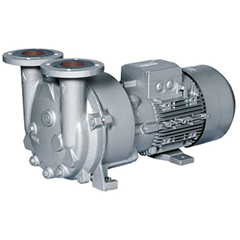 2BV5 Monoblock Flüssigkeitsring-Vakuumpumpe 4 bis 600 m3 / h (2 bis 353 CFM)